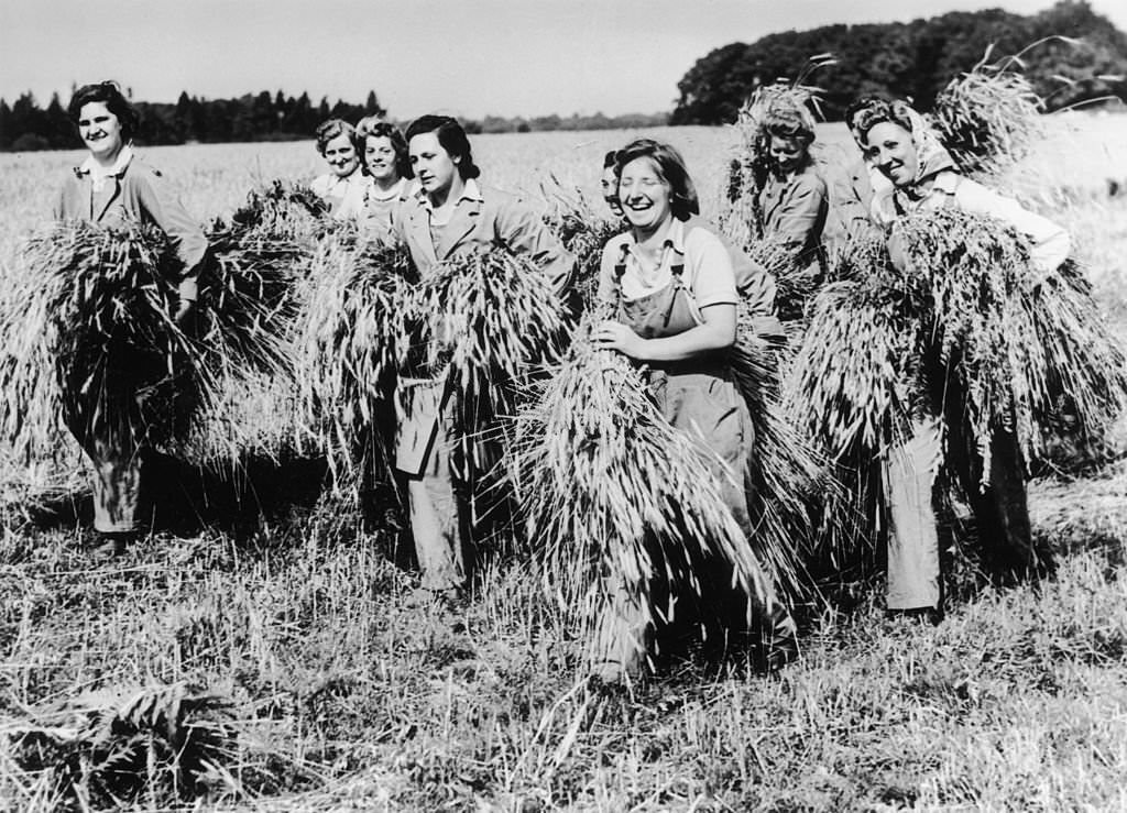 #113 Women gathering in the rye harvest in East Suffolk, since the wartime announcement that the crop may now be used in Britain’s bread, 11th August 1942.