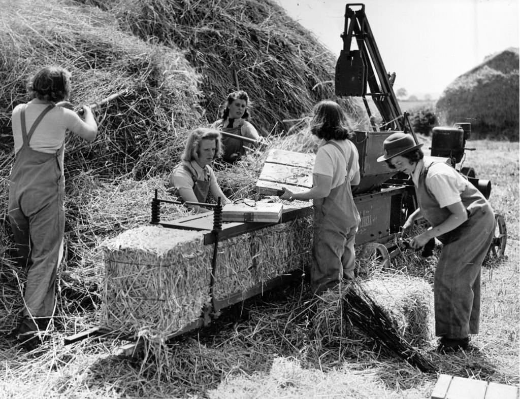 #117 Women of the Women’s Land Army using a baling machine to bale hay on a farm in West Suffolk, 1942