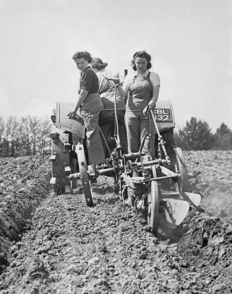 #118 Three members of the Women’s Land Army (WLA) at work ploughing furrows in the earth behind a tractor on 16th May 1942 at Hewens Wood farm in Bradfield, Berkshire, United Kingdom.