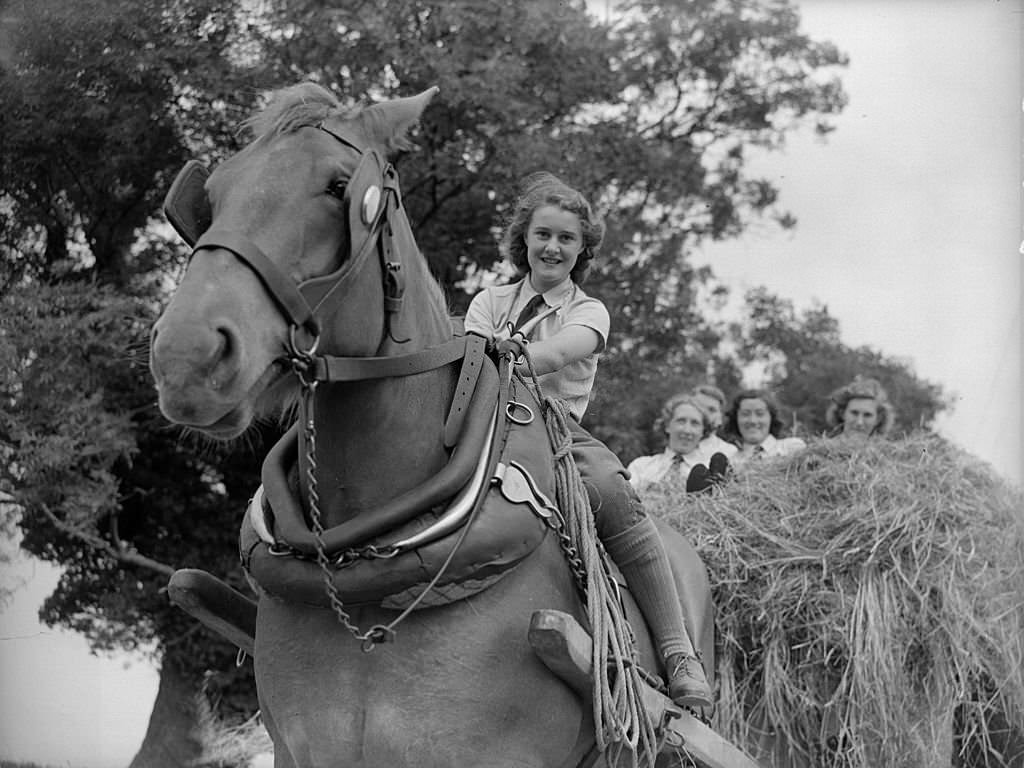 #147 Members of the Essex women’s land army homeward bound with a cart full of hay, 25th June 1941