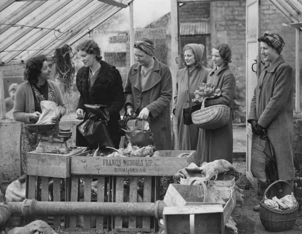 #155 Women evactuated from the bombing in London queue in line to buy fresh vegetables from a box stall on 15th April 1941 at a farm shop in Bishops Cleeve, Gloucestershire, United Kingdom.