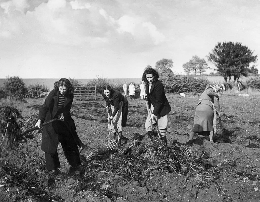 #32 Women with pitchforks clear the straw from a field in Wolverhampton, West Midlands, during World War II.