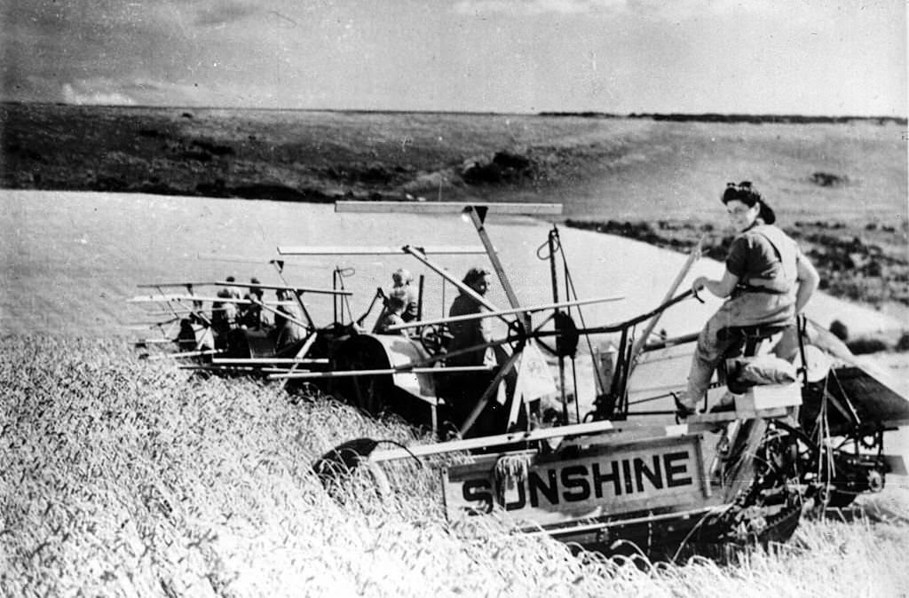 #36 World War II. Harvesters driven by women in England, 1939