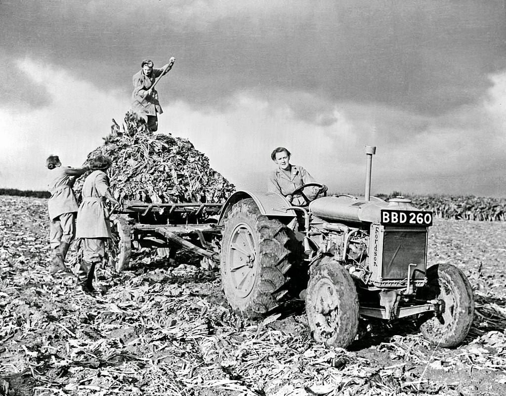 #52 World War two Home front in Britain: Fordson tractor with members of British Women’s Land Army, 1940s.