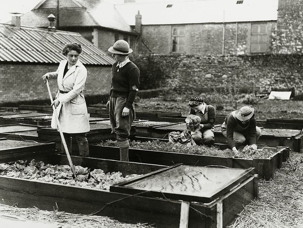 #65 Great Britain, Members of the Womens Land Army receiving instruction on varied forms of farm work in Somerset at the Agriculture Institute.