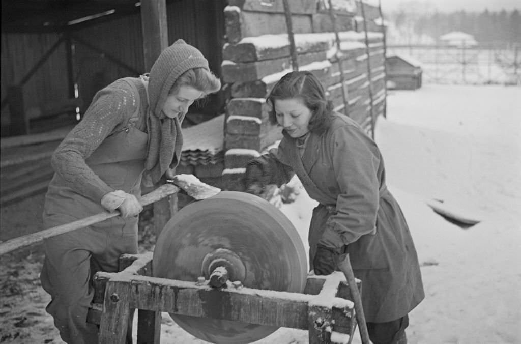 #79 Two new members of the Women’s Land Army (WLA), later to become the Women’s Timber Corps, pictured operating a sharpening stone to sharpen axes in a wood in England during World War II on 2nd January 1940.