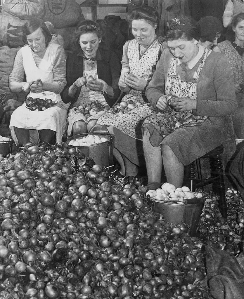 #91 Women workers peeling thousands of onions that will eventually be pickled in jars destined for household dinner tables, 1944
