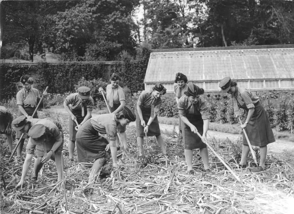 #94 Women of the South Eastern Command of the ATS (Auxiliary Territorial Services) help local English farmers weed their onions, 1943