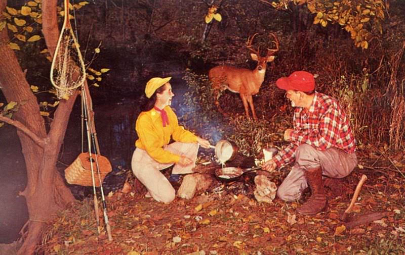 #1 A big buck looks on, West Nyack, New York