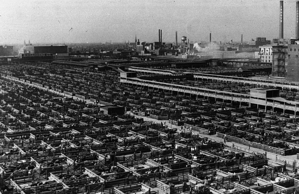 #1 The Union Stockyards in Chicago, Illinois, July 1941