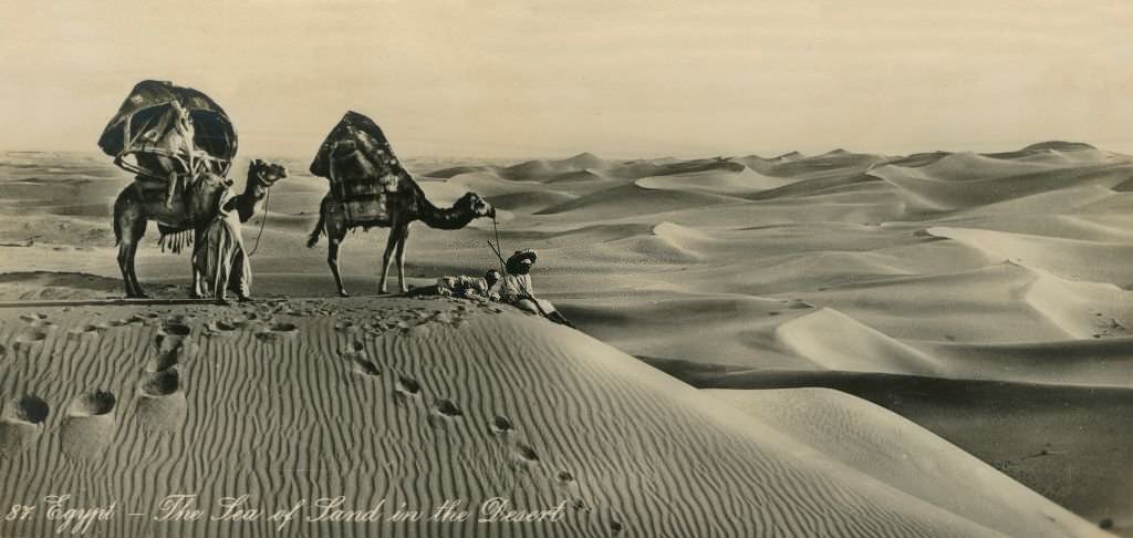 #115 The Sea Of Land in the Desert, 1918