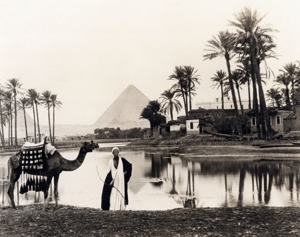 #129 A man and his camel at an oasis with the pyramids of Giza in the background, Egypt, 1917