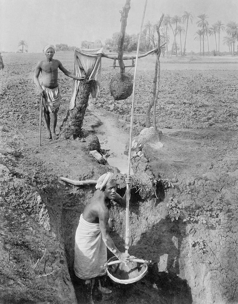 #20 Field irrigation, Egypt, 1910s