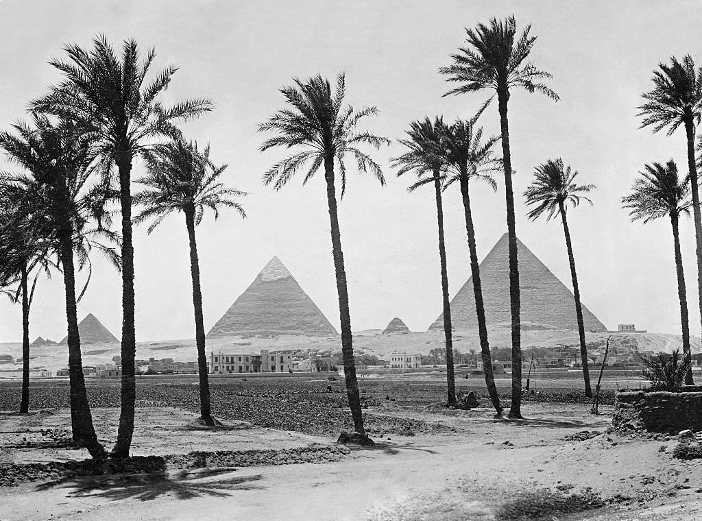 #53 Landscape with palm trees, in the background the Giza pyramid complex, 1913