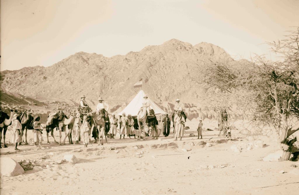 #75 Expedition camp in the Sinai, Lewis Larsson on camel directly in front of tent, 1910