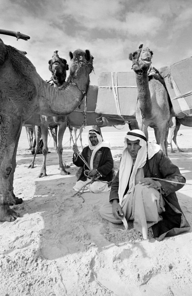 #121 Bedouins transporting parcels of goods on camels in the Sinai desert in November 1978