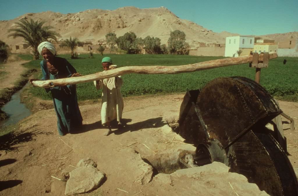 #3 A farmer and his son pushing the wheel for the water pump to water their field next to the Nile river.