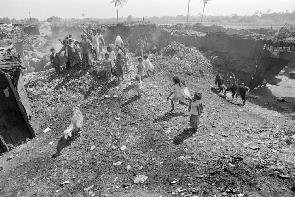 #143 Children at a garbage dump in a slum on the outskirts of Cairo, 1978