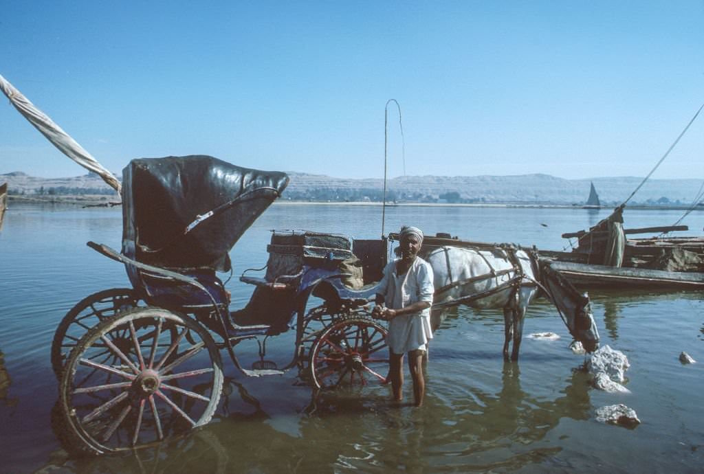 #18 A man washing his horse carriage standing in the river bed of the Nile.