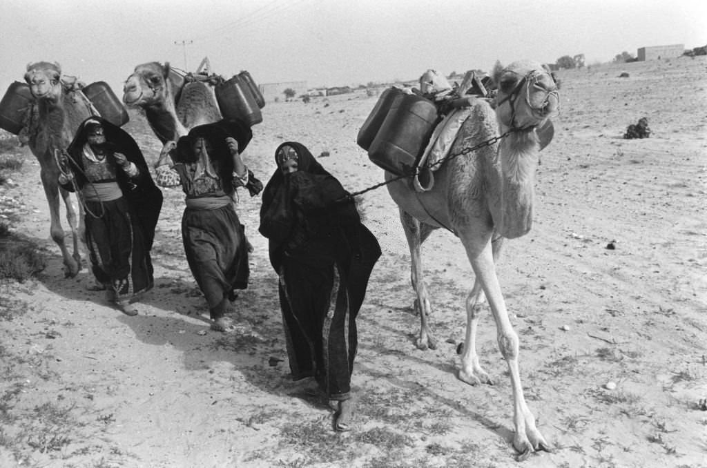 #153 Bedouin women in Sinai, January 1978.
