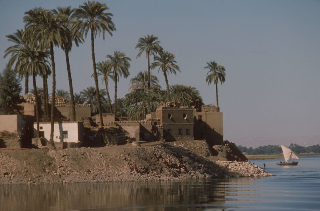 #163 Buildings on the shoreline of the Nile river.