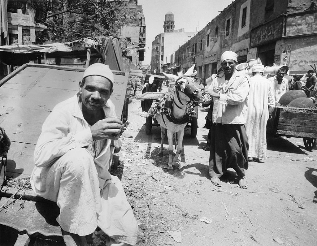 #169 Marketeer with donkey cart, Cairo, 1970s