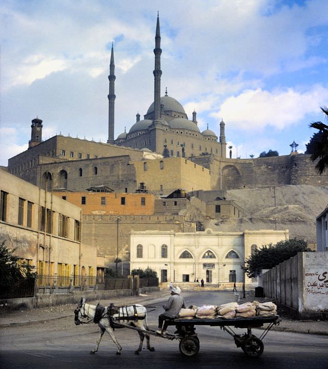 #199 Donkey cart beneath Citadel mosque, Cairo, Egypt