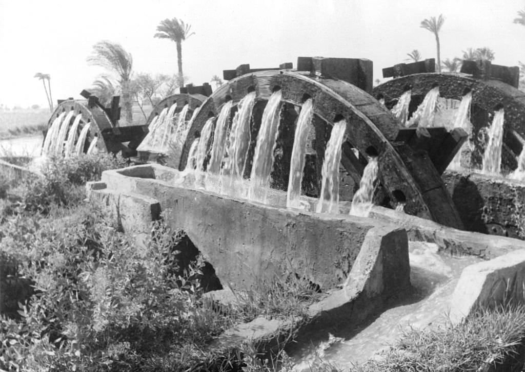 #25 A view of an Aqueduct bringing water to Egypt, 1975