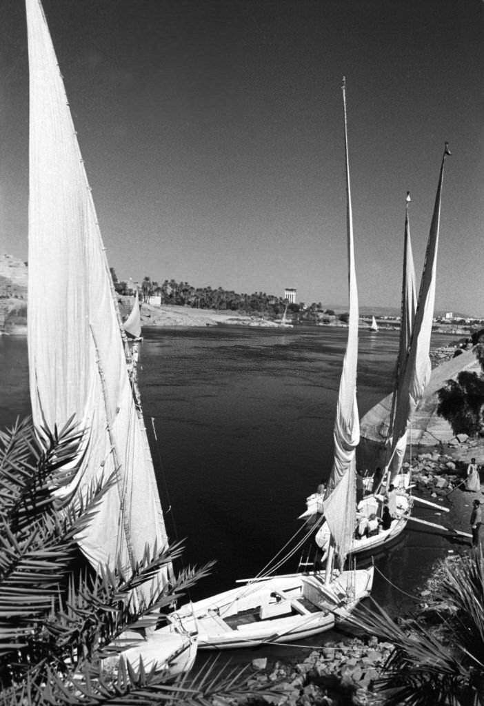 #41 Small sailing boats, so-called feluccas, on the banks of the Nile near Aswan, Egypt, 1972