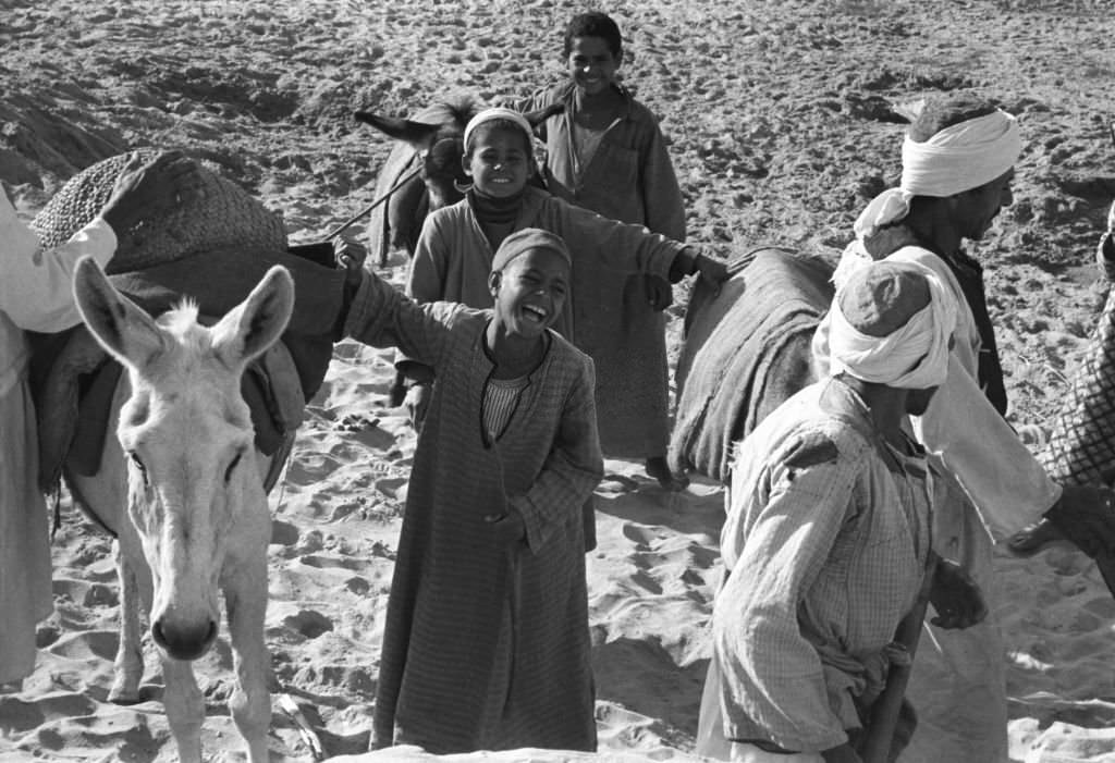 #48 Peasant children working in the fields, photographed in a village near Cairo, 1972