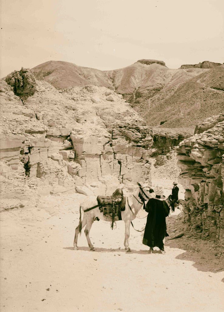 #109 The Lybian desert, Thebes, Egypt, 1900.