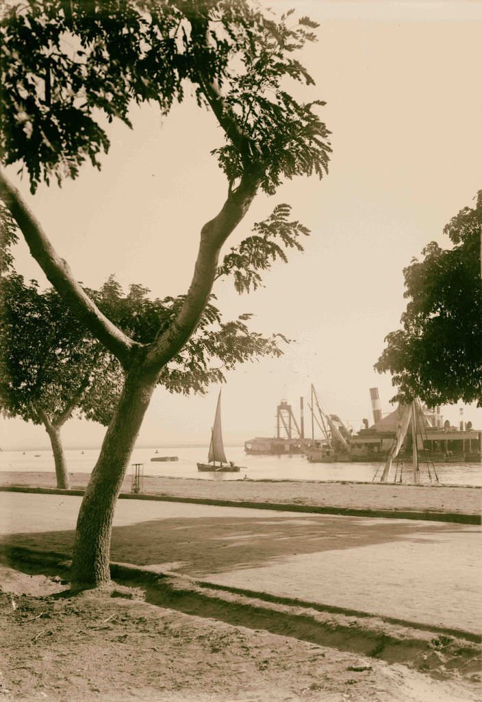 #11 Suez Canal at the Gulf of Suez, 1900