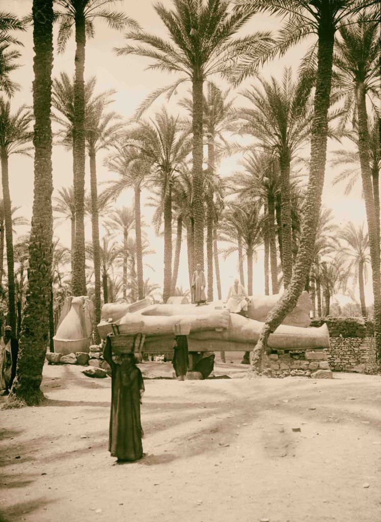 #120 Colossal statue of Rameses [i.e., Ramses] II, Memphis, 1900.