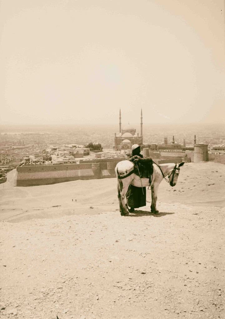 #125 Cairo from the Mokattam Hills, 1900