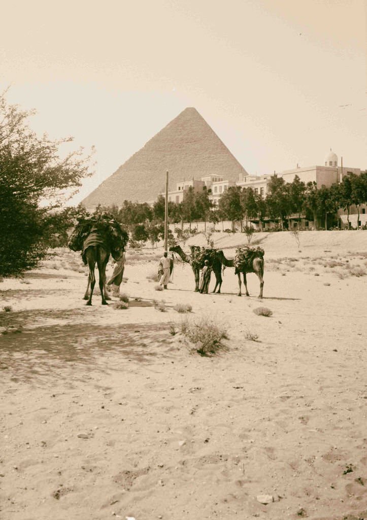 #133 The pyramids of Gizeh. Mena House Hotel at pyramids, 1900.