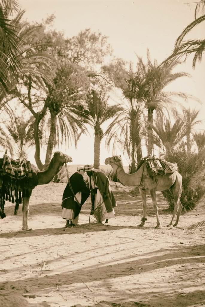 #154 Sinai salutation among the men, Egypt, 1900.