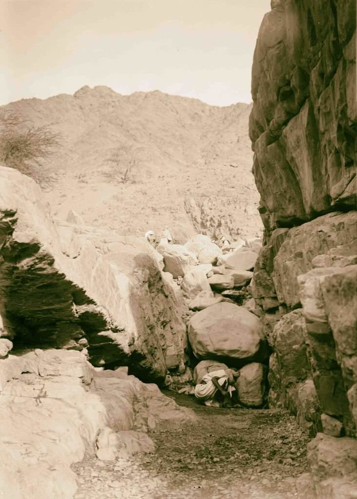 #177 Spring of el-Wataieh, Sinai, Egypt, 1900