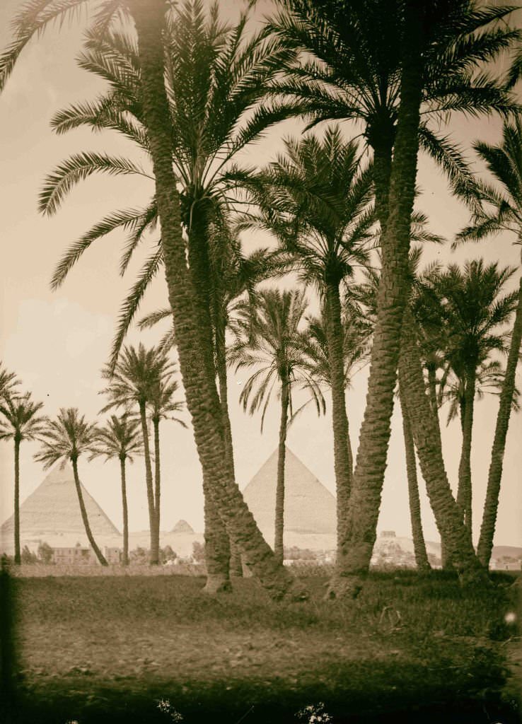 #183 Sinai via the desert. The three pyramids of Gizeh, 1900.
