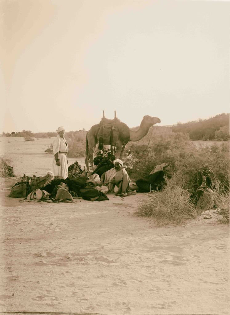 #187 Sinai via the Red Sea, Tor, and Wady Hebran. Preparing for a night’s camp in Wady el-A’awaj in Sinai, Egypt, 1900