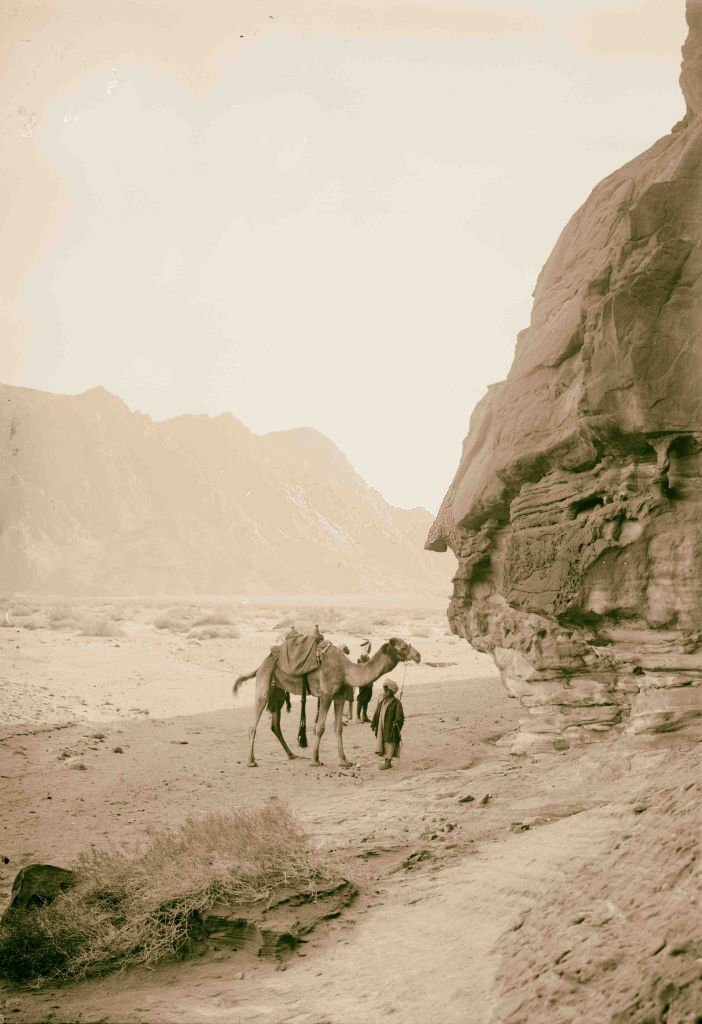 #188 Wady Mokattab, Sinai, Egypt, 1900.