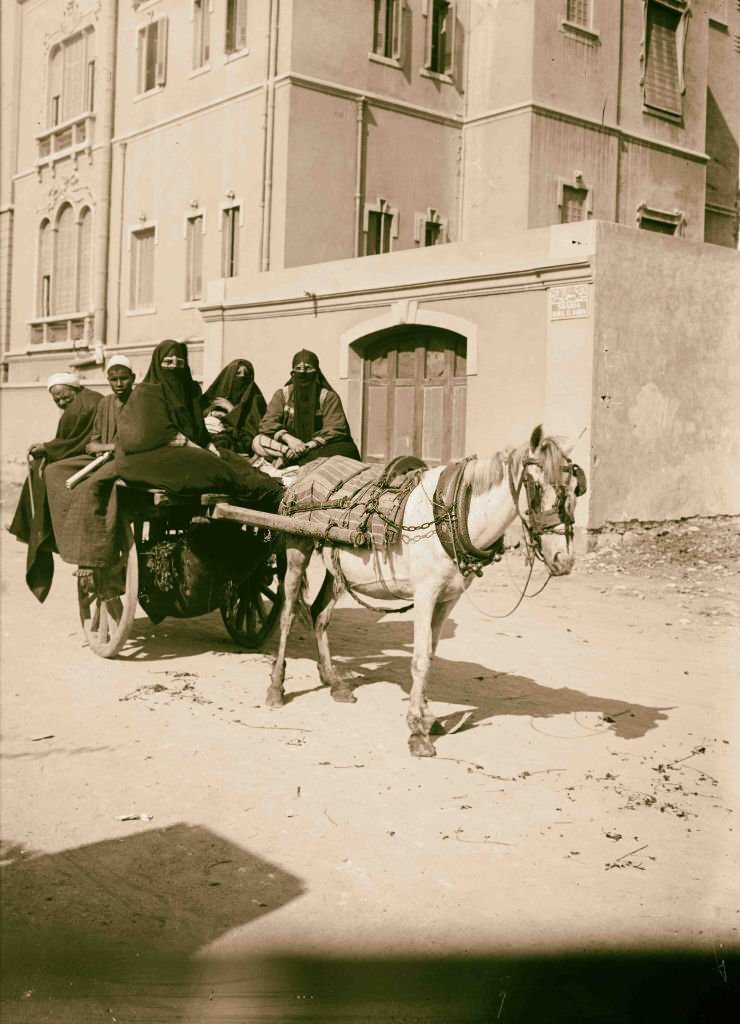 #208 Donkey cart with native passengers, Egypt, 1900s.