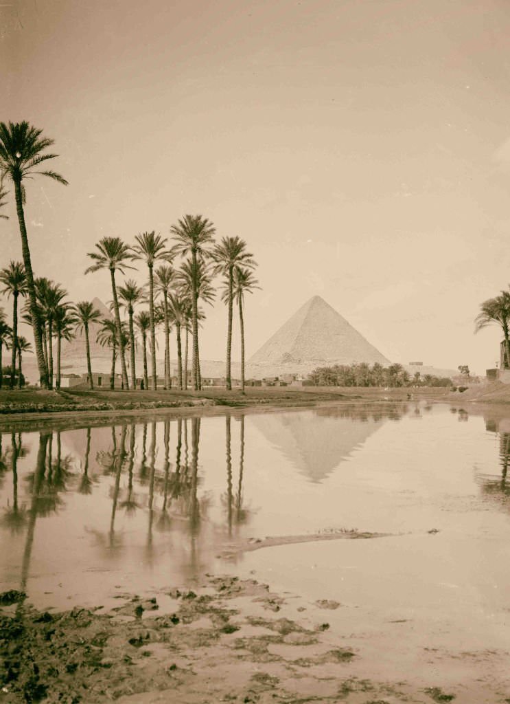 #3 Pyramids with palm grove, Egypt, 1900.
