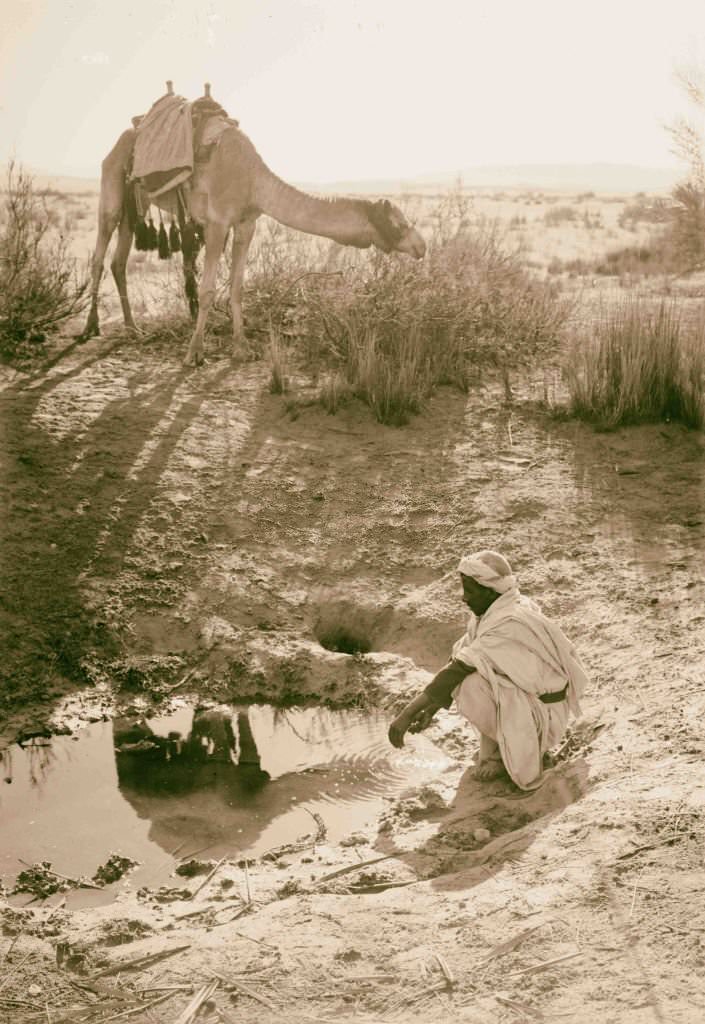#4 Bitter spring in Wady Taiybeh, Egypt, 1900.