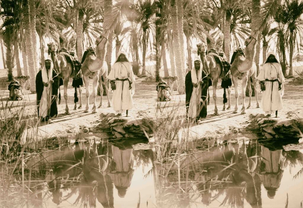 #5 Scene at the Springs of Moses, Egypt, 1900