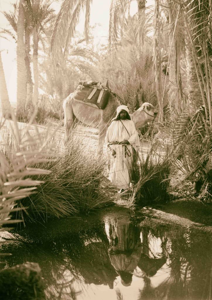 #6 Near view of one of the Springs of Moses, Egypt, 1900.