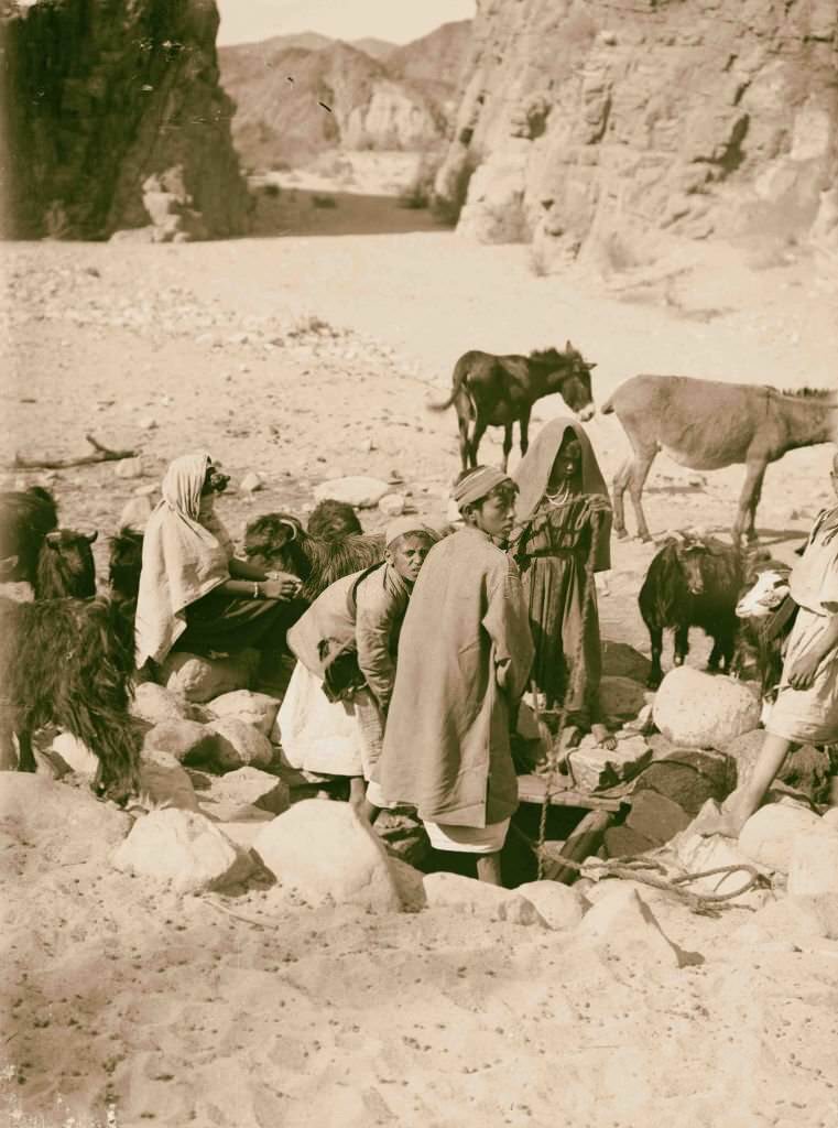 #7 Well at el-Buweib, Egypt, 1900.