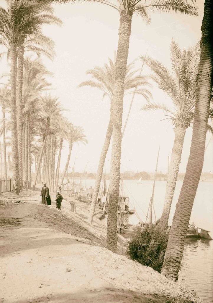 #77 View looking down the Nile, Cairo, 1900