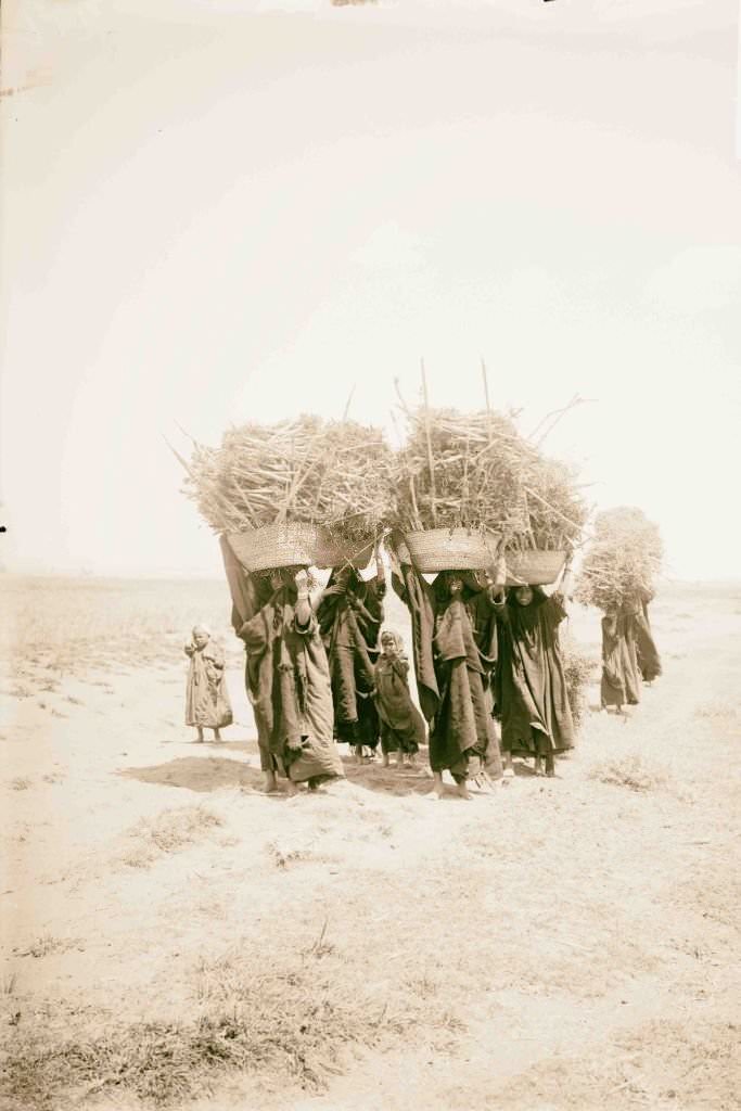 #78 Egyptian characters, etc. Women carrying fuel, 1900s