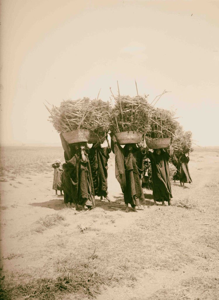 #96 Women carrying fuel, Egypt, 1900.