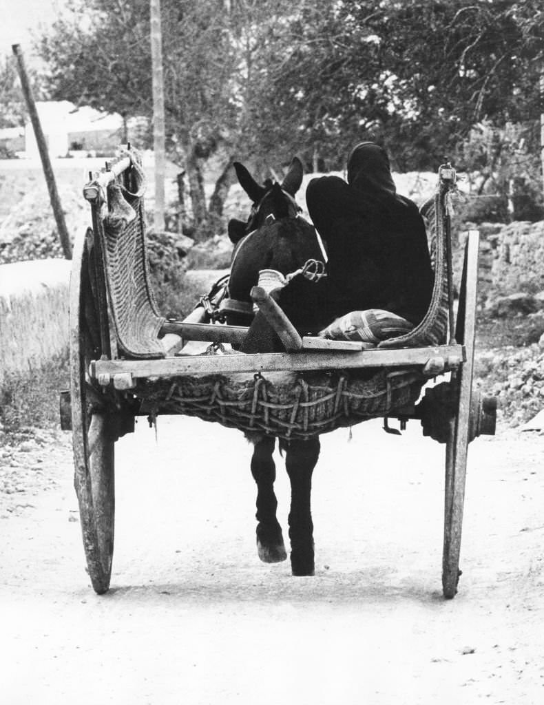 #51 Ibiza, Spain, 1970s